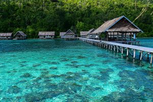 Aktivitas Pendidikan dan Penelitian di Teluk Etna, Papua Barat Indonesia