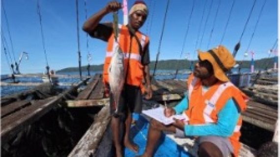 Menjaga Harta Karun Pesisir Kaimana dan Fakfak, Catatan dari Lapangan